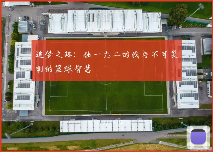追梦之路：独一无二的我与不可复制的篮球智慧