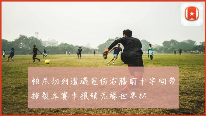 帕尼切利遭遇重伤右膝前十字韧带撕裂本赛季报销无缘世界杯